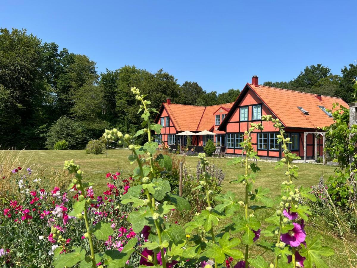 Villa Hasselbacken Gärsnäs エクステリア 写真