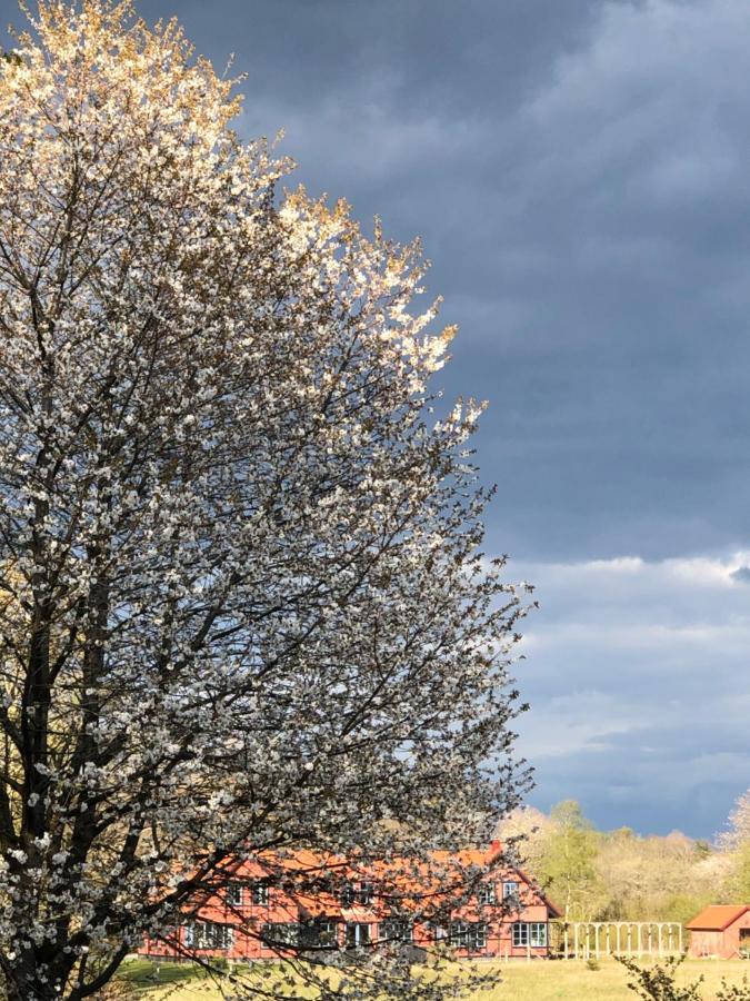 Villa Hasselbacken Gärsnäs エクステリア 写真