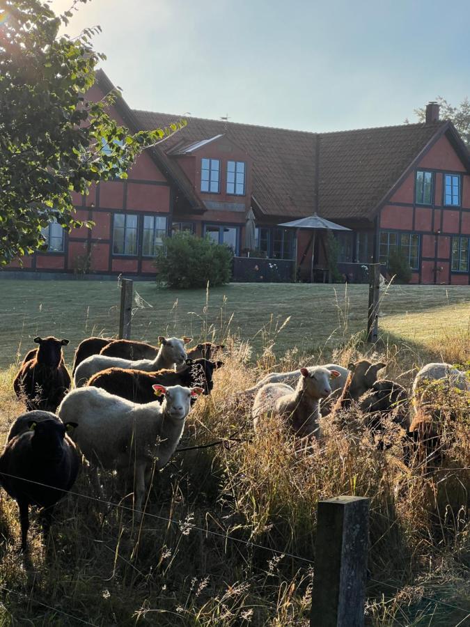 Villa Hasselbacken Gärsnäs エクステリア 写真